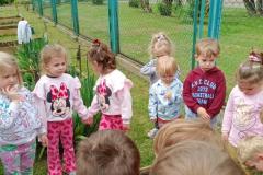 IMG_20260515_103113