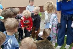 IMG_20260515_103139