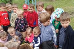 IMG_20260515_103205