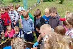 IMG_20260515_103248