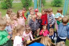 IMG_20260515_103250