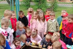 IMG_20260515_103351