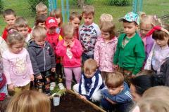 IMG_20260515_103426