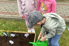 image00054