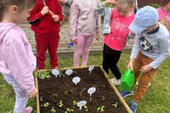 image00055
