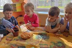 IMG_20230316_092704
