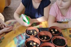 IMG_20230316_093505