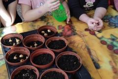 IMG_20230316_093520
