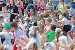IMG-20250622-WA0261