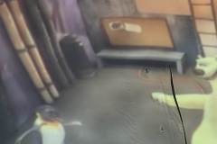IMG-20260603-WA0081