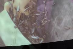 IMG_20260603_095849