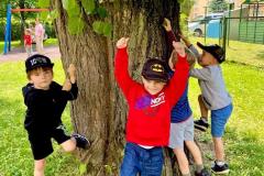 C232B2FD-3299-45C2-ACF1-7069F556F9B3