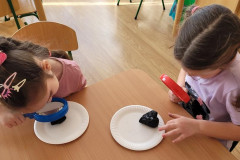 20250304_092729-Copy