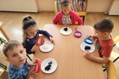 20250304_093448-Copy