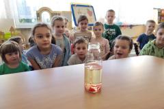 20250306_090502-Copy