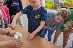 20250306_091251-Copy