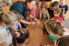 20250306_091622-Copy