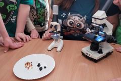 20250306_095713-Copy