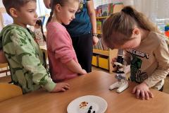 20250306_095952-Copy