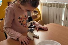 20250306_100507-Copy