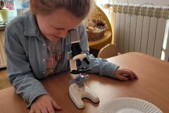 20250306_100619-Copy