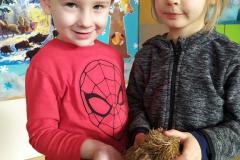 IMG_20220113_103427-Copy