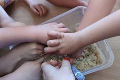 IMG_20230605_142749