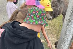 image00161