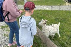 image00166