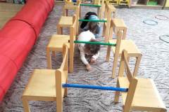 IMG-20221105-WA0026