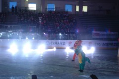 DSCF0082