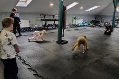 IMG_20231114_093748