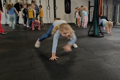 IMG_20231114_121407