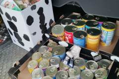 IMG-20211120-WA0002