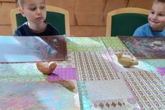 IMG_20231024_093524