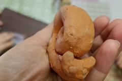 IMG_20231024_094228