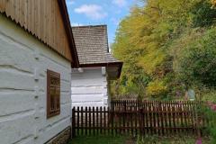 IMG_20231024_102505