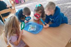 IMG-20260204-WA0013