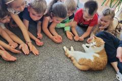 20250521_094823-Copy