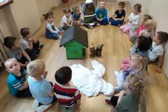 IMG_20220523_113310-Copy