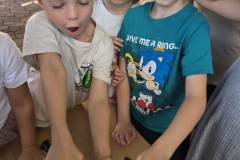 IMG-20250922-WA0093