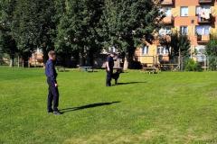 IMG_20250922_095811