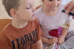 IMG_20240509_092020