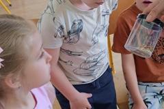 IMG_20240509_092024
