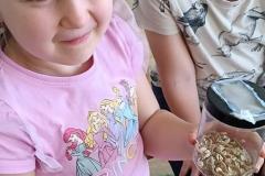 IMG_20240509_092032