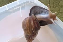 IMG_20240509_092105