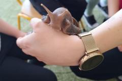 IMG_20240509_092533
