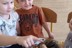 IMG_20240509_092539
