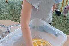 IMG_20240509_093139
