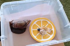 IMG_20240509_093149